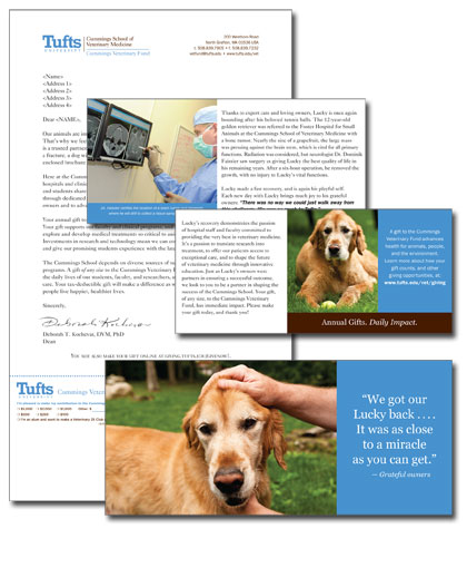 Tufts University Cummings School of Veterinary Medicine mailer